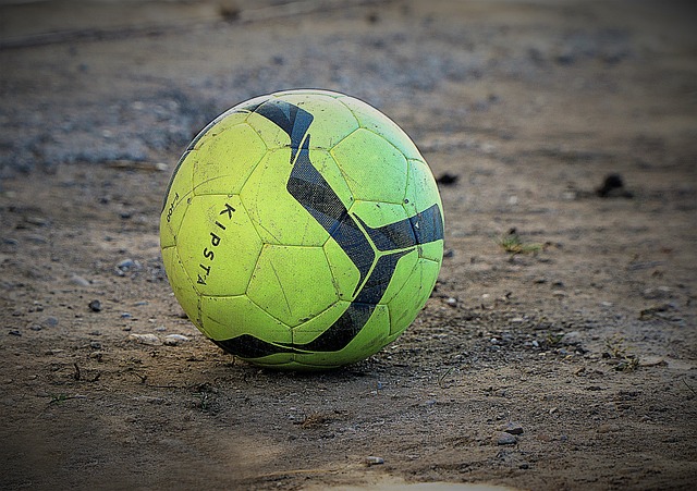 起到促进作 起到促进作