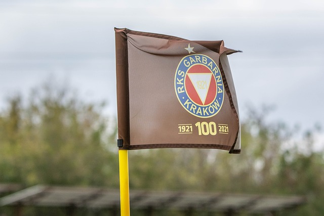 球学校和青 球学校和青