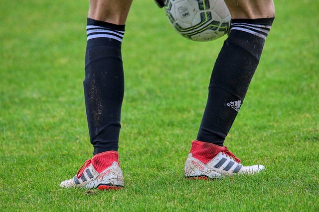 极限运动领 极限运动领