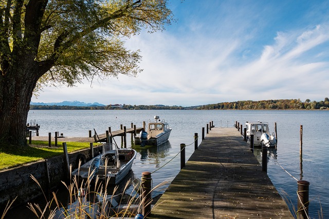 击的王朝 击的王朝