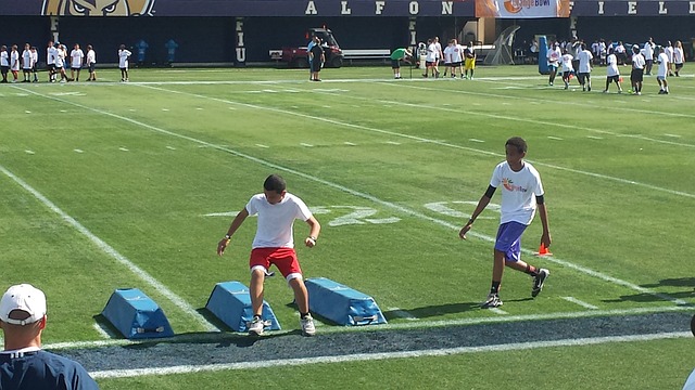 保持稳定的 保持稳定的