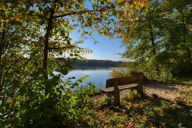 行深入的了 行深入的了