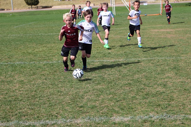 析能为您的 析能为您的